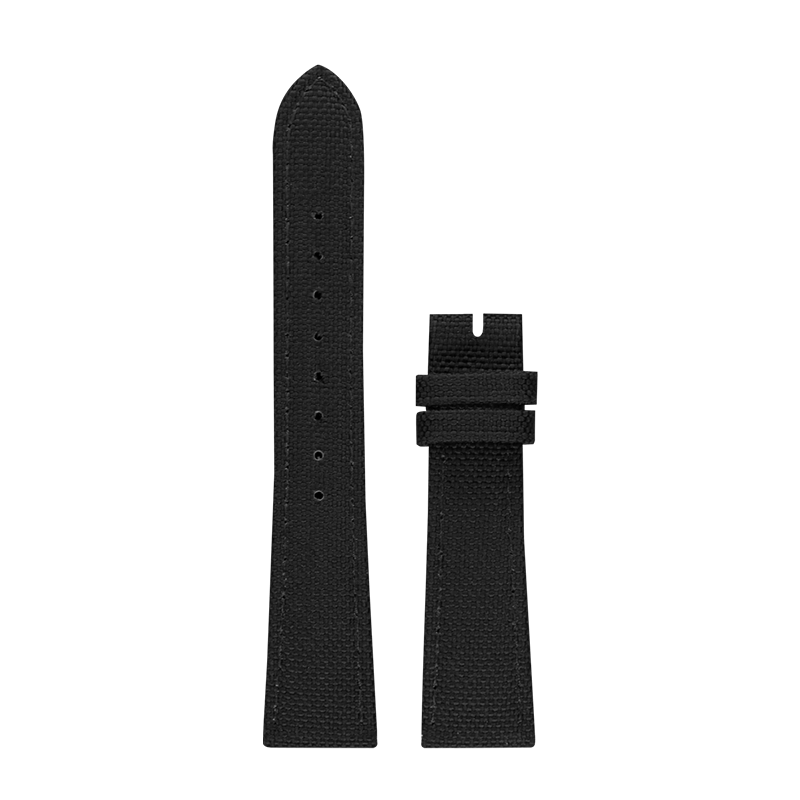 Type 20 Special Edition